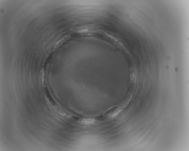 X0000072960767200608111651