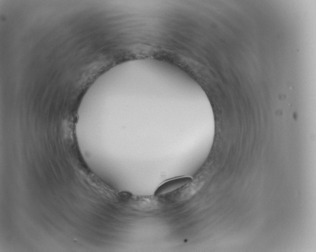 X0000072960768200608111651