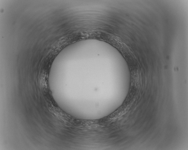 X0000072960770200608111650