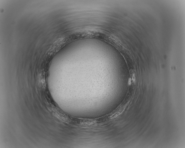 X0000072960771200608111650