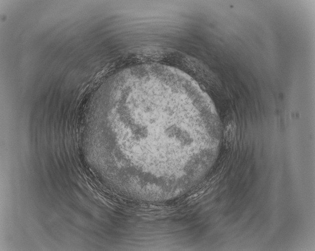 X0000072960772200608111650