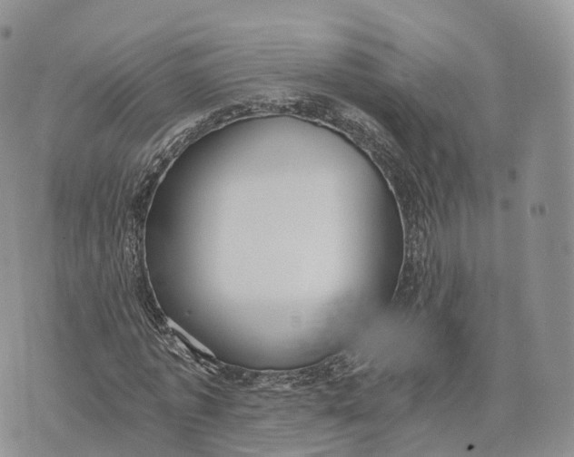 X0000072960773200608111650