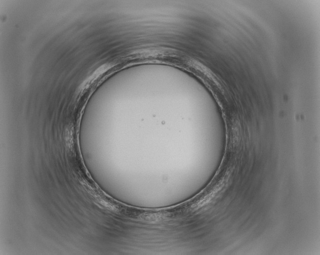 X0000072960778200608111650