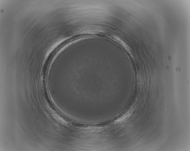 X0000072960779200608111650