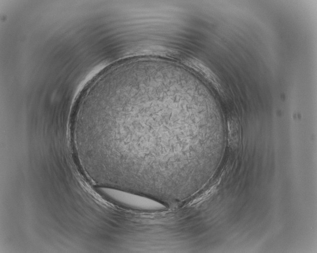 X0000072960780200608111650