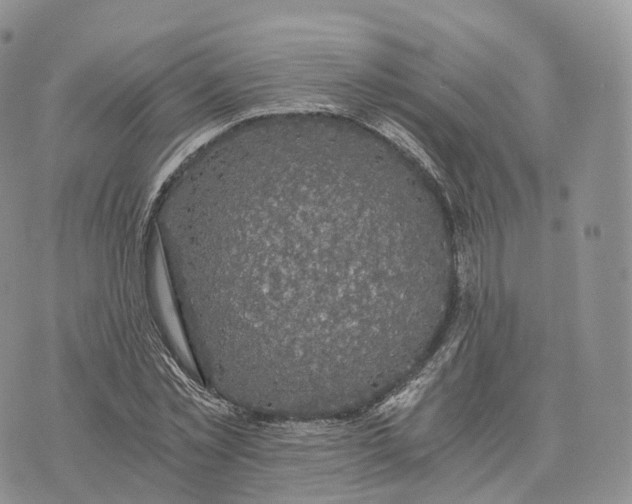 X0000072960781200608111650