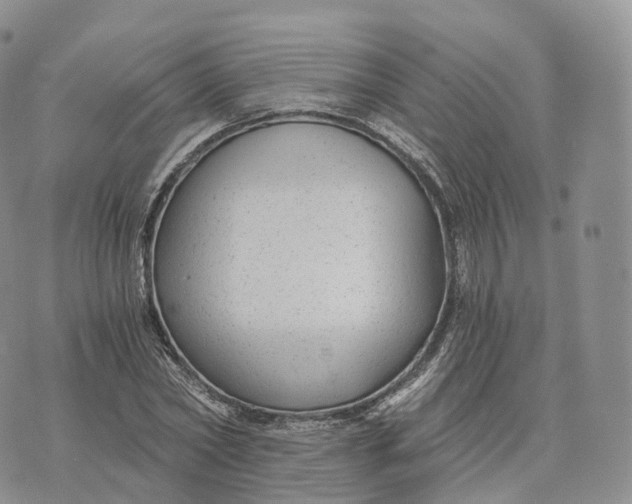 X0000072960782200608111650