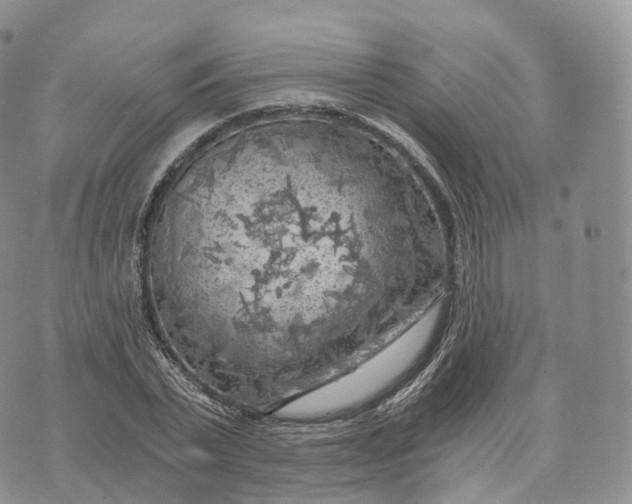 X0000072960783200608111650