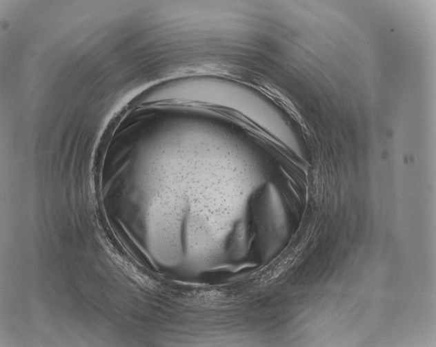 X0000072960784200608111650