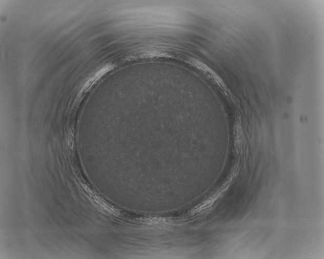 X0000072960785200608111650