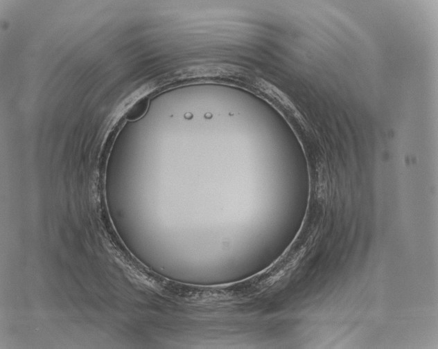 X0000072960786200608111650