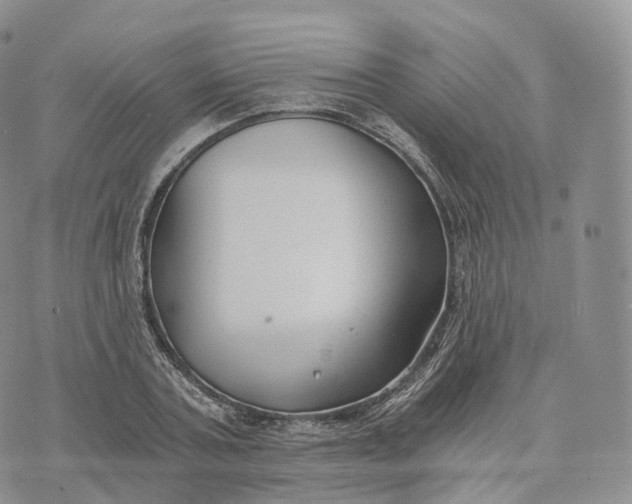 X0000072960787200608111650