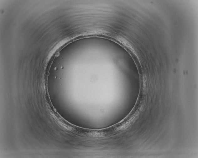 X0000072960789200608111650