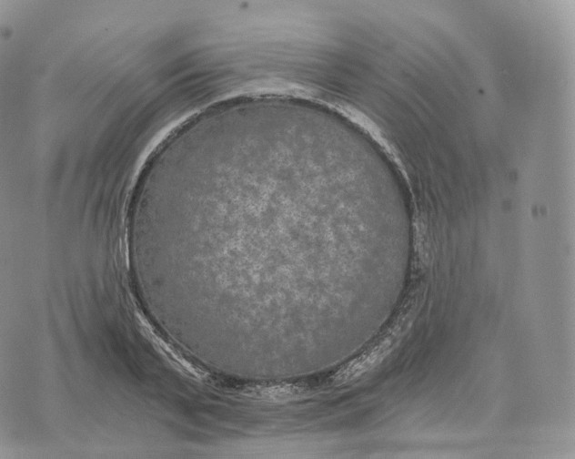 X0000072960791200608111650