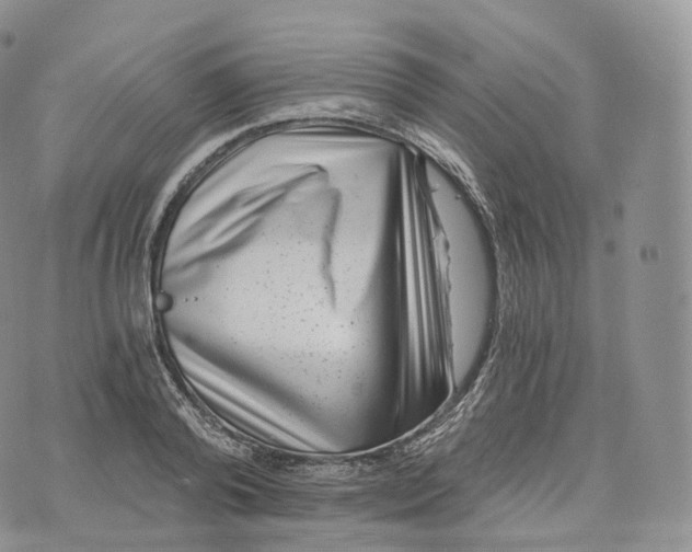 X0000072960792200608111650