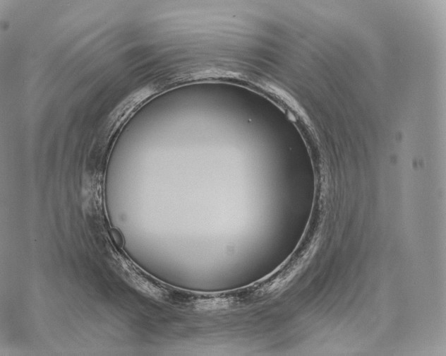 X0000072960793200608111649