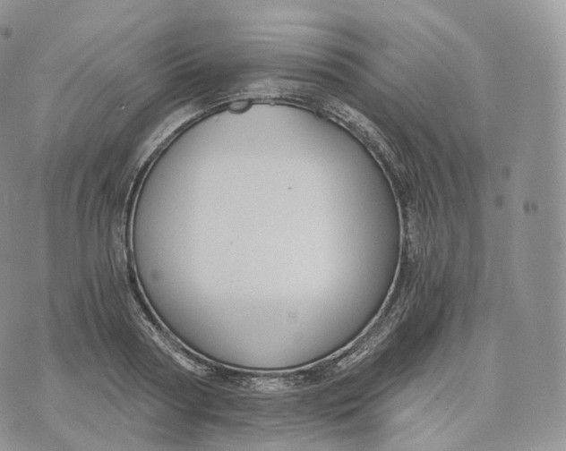 X0000072960794200608111649