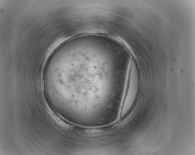 X0000072960795200608111649