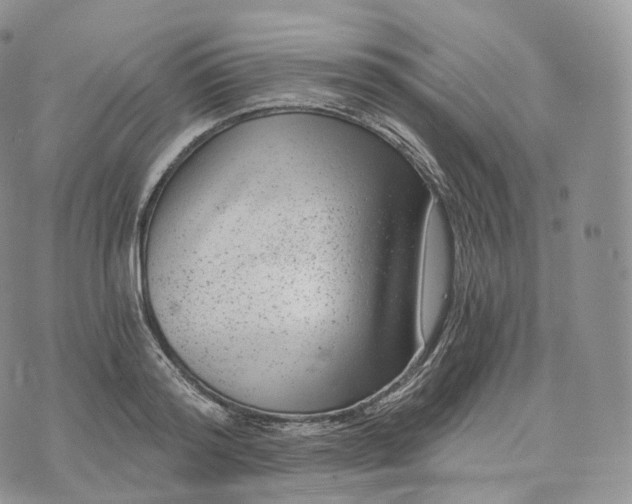 X0000072960796200608111649