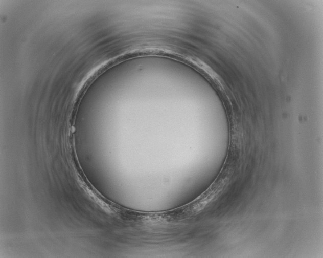 X0000072960799200608111649