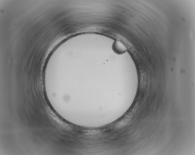 X0000072960800200608111649