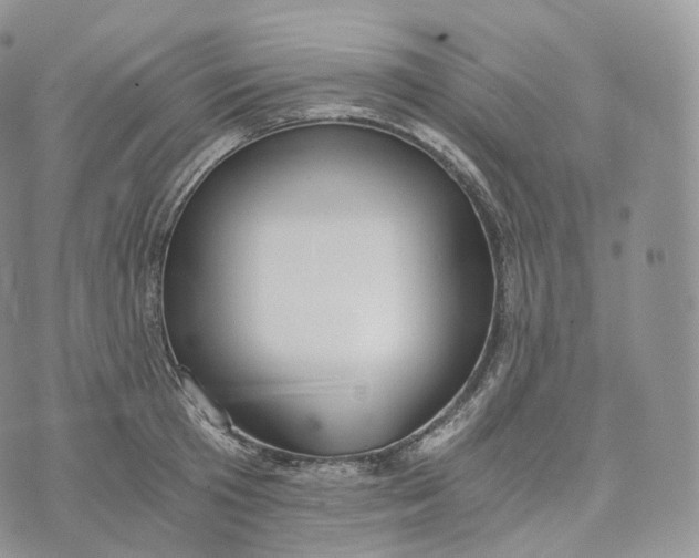 X0000072960801200608111649