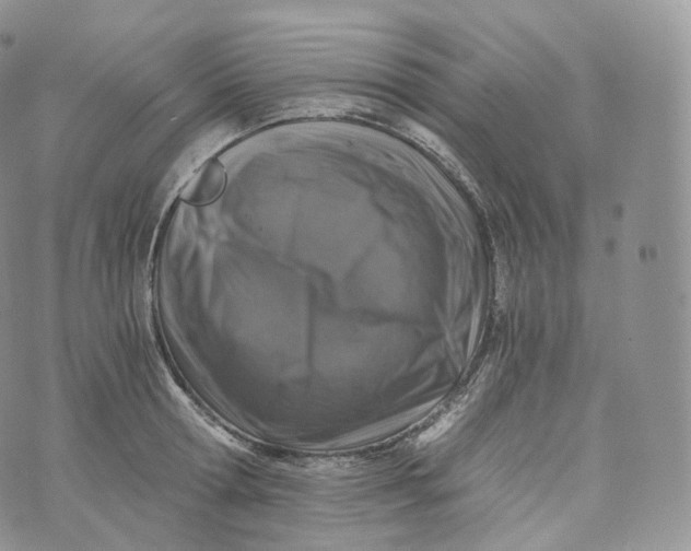 X0000072960802200608111649