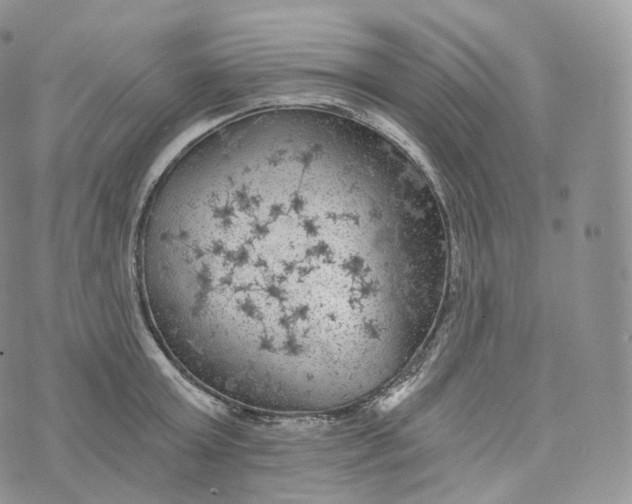 X0000072960803200608111649