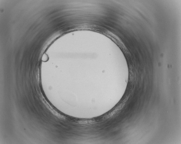 X0000072960804200608111649