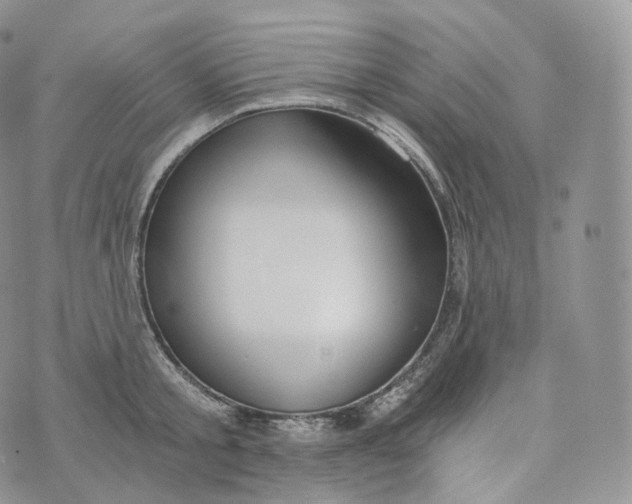 X0000072960805200608111649