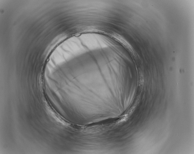 X0000072960806200608111649