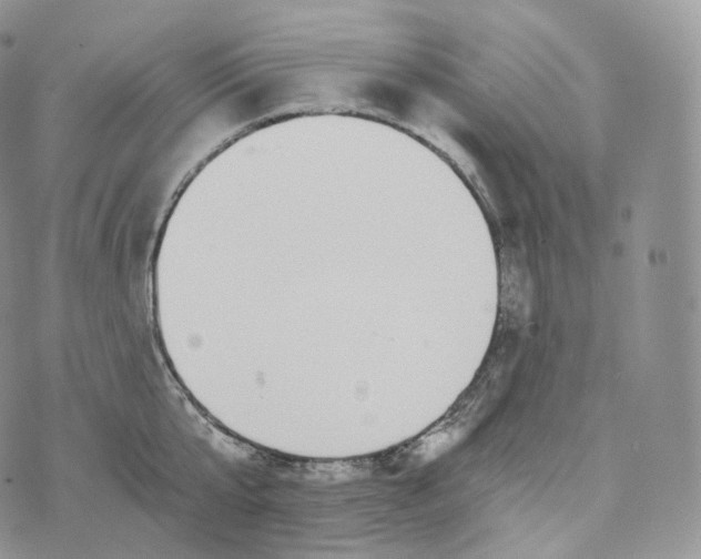 X0000072960807200608111649