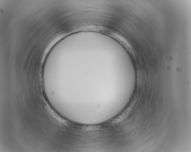 X0000072960808200608111649