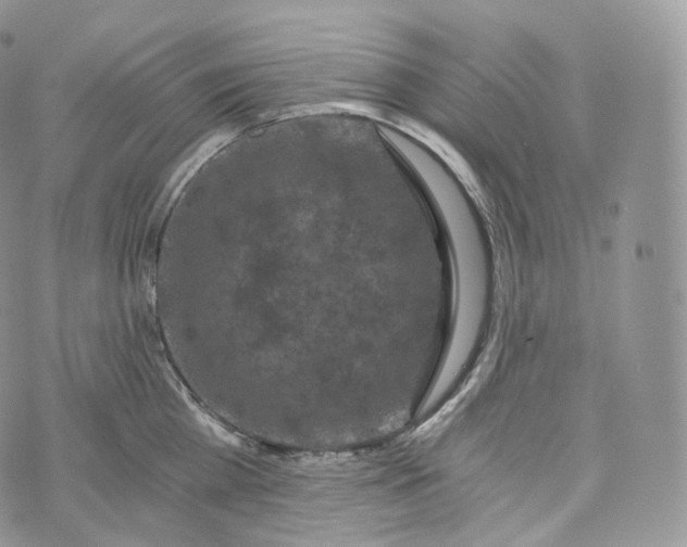 X0000072960809200608111649