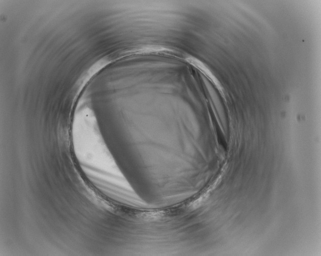 X0000072960810200608111649