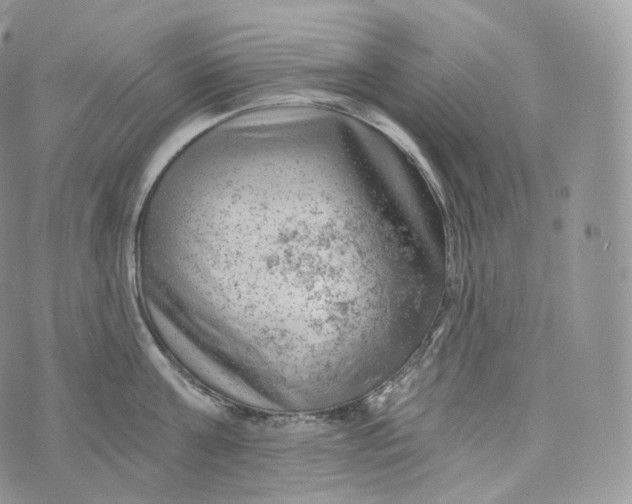 X0000072960811200608111649