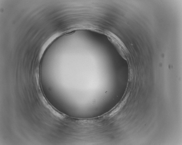 X0000072960812200608111649