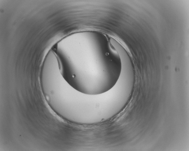 X0000072960813200608111649