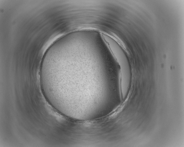 X0000072960814200608111649