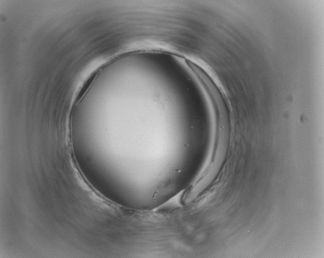 X0000072960815200608111649