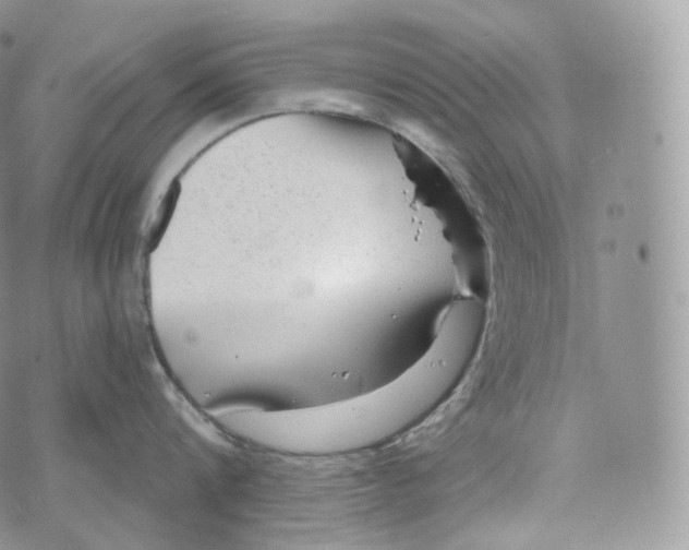 X0000072960816200608111649