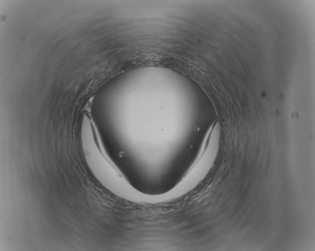 X0000072960818200608111648