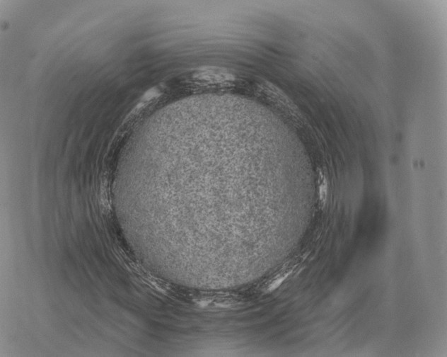 X0000072960819200608111648