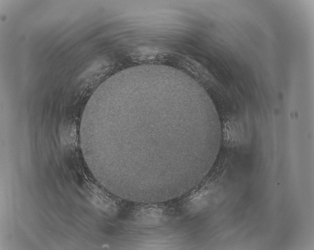 X0000072960820200608111648