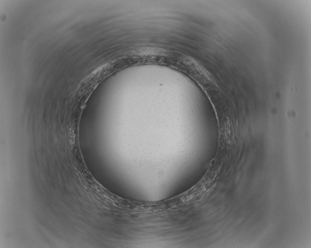 X0000072960821200608111648