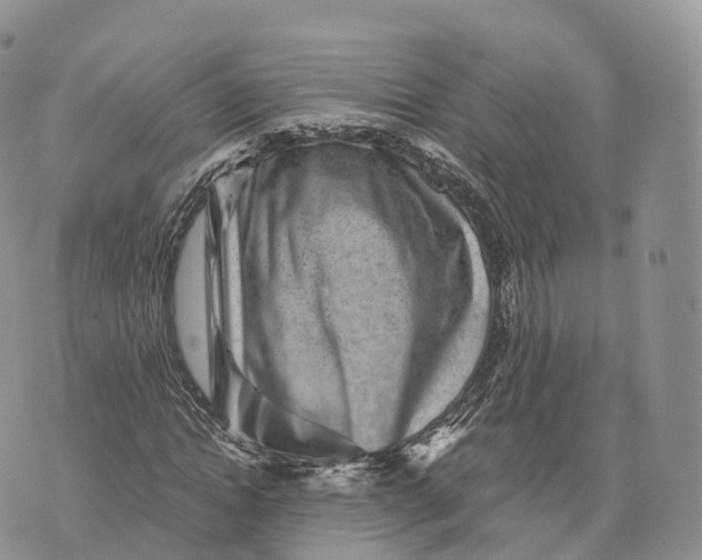 X0000072960822200608111648