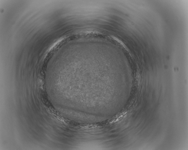 X0000072960823200608111648