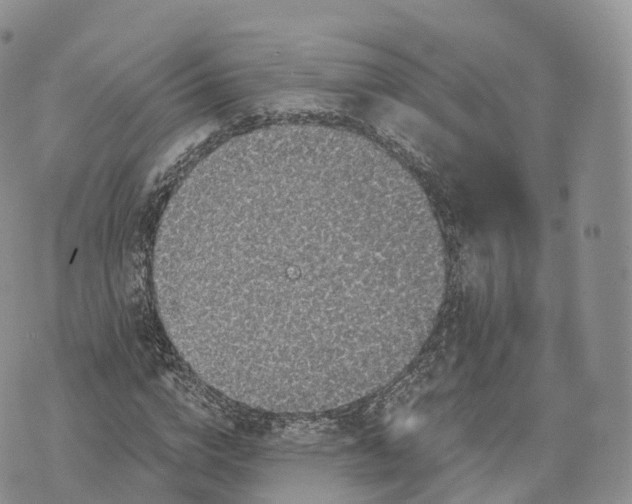 X0000072960824200608111648