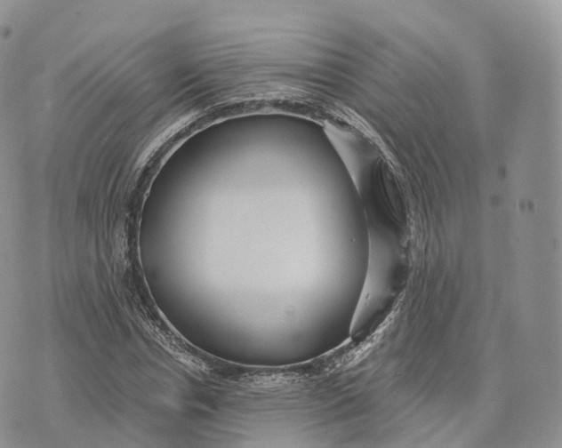 X0000072960826200608111648