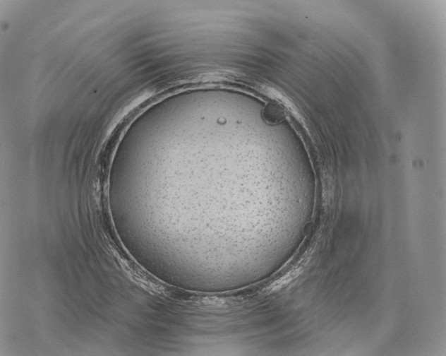 X0000072960827200608111649